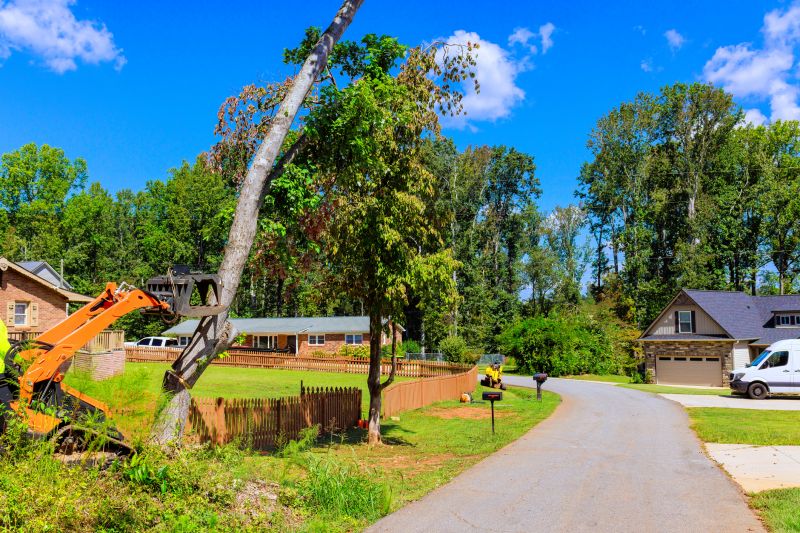 Cricket Removal Service detail