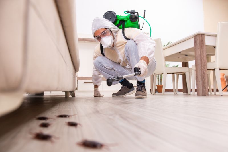 Pest Extermination Service