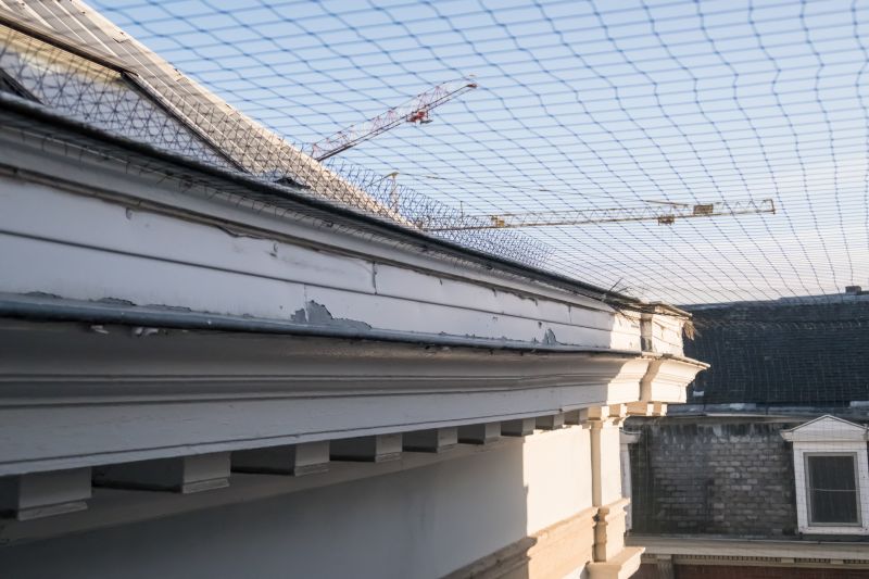 Roof Bird Proofing Service